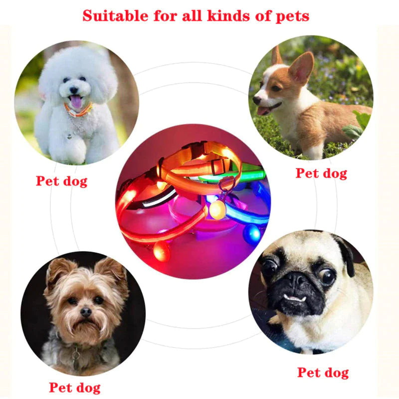 LED Adjustable Dog Collar Blinking Flashing Light up Glow Pets Safety Waterproof.