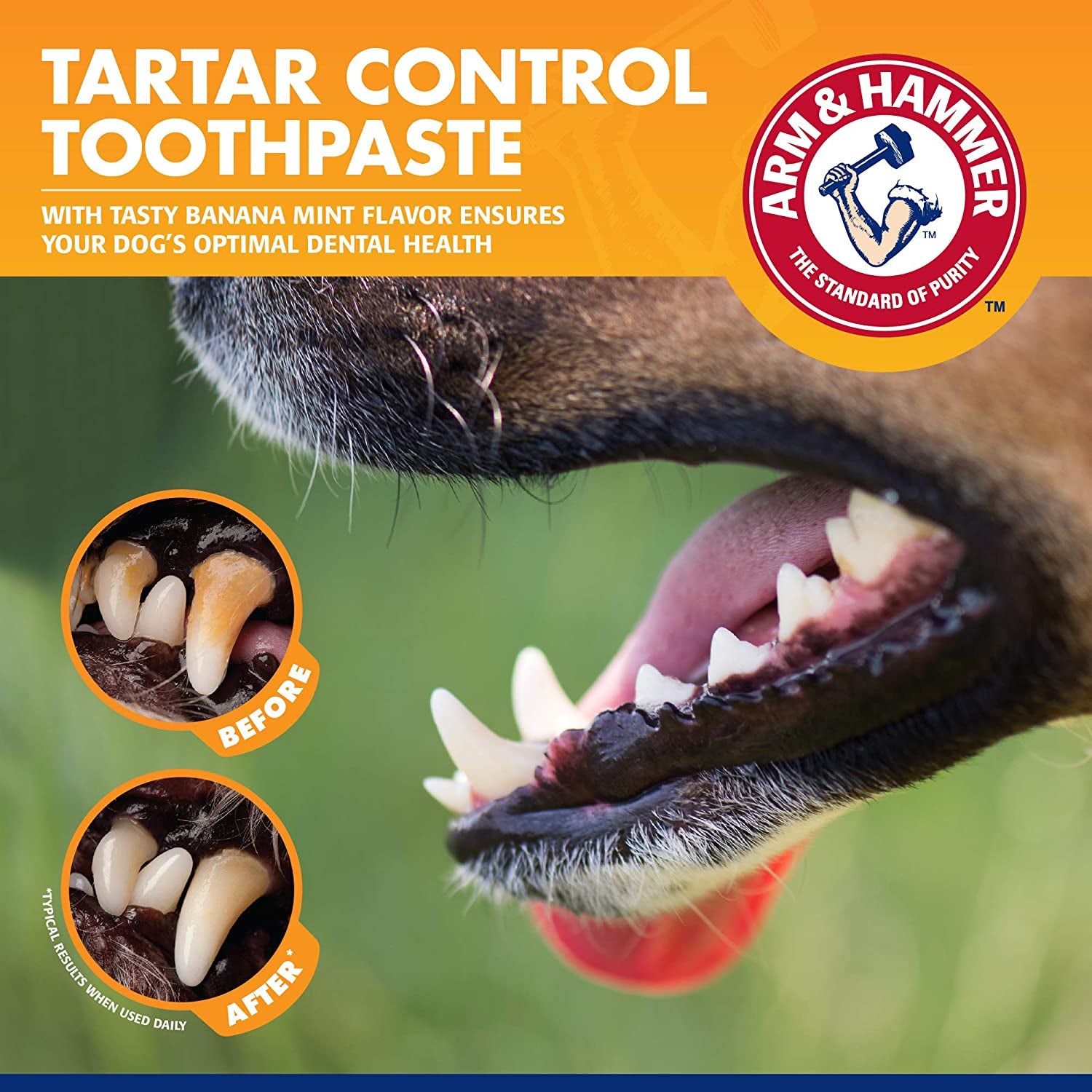 for Pets Tartar Control Kit for Dogs Contains Toothpaste, Toothbrush & Fingerbrush Reduces Plaque & Tartar Buildup, 3-Piece Kit, Banana Mint Flavor (Pack of 1).