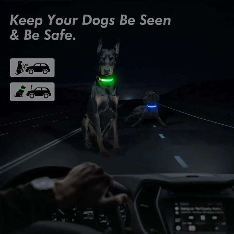 LED Adjustable Dog Collar Blinking Flashing Light up Glow Pets Safety Waterproof.