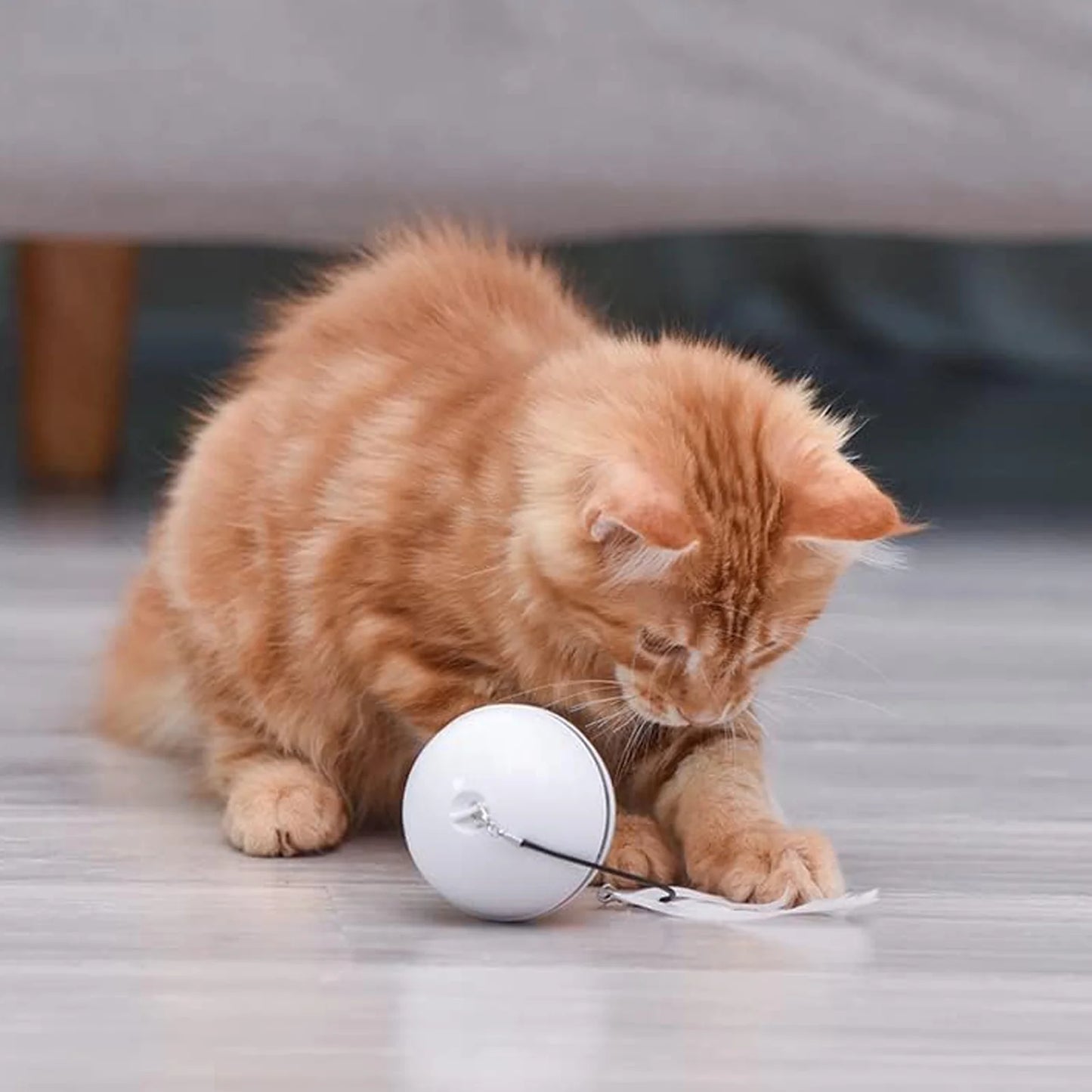 Electric Cat Ball Toys, Interactive Self Auto Rotating Intelligent Cat Ball Toys for Pet Dogs, Cats, Smart Indoor Rolling Cat Toy for Home Bedroom.