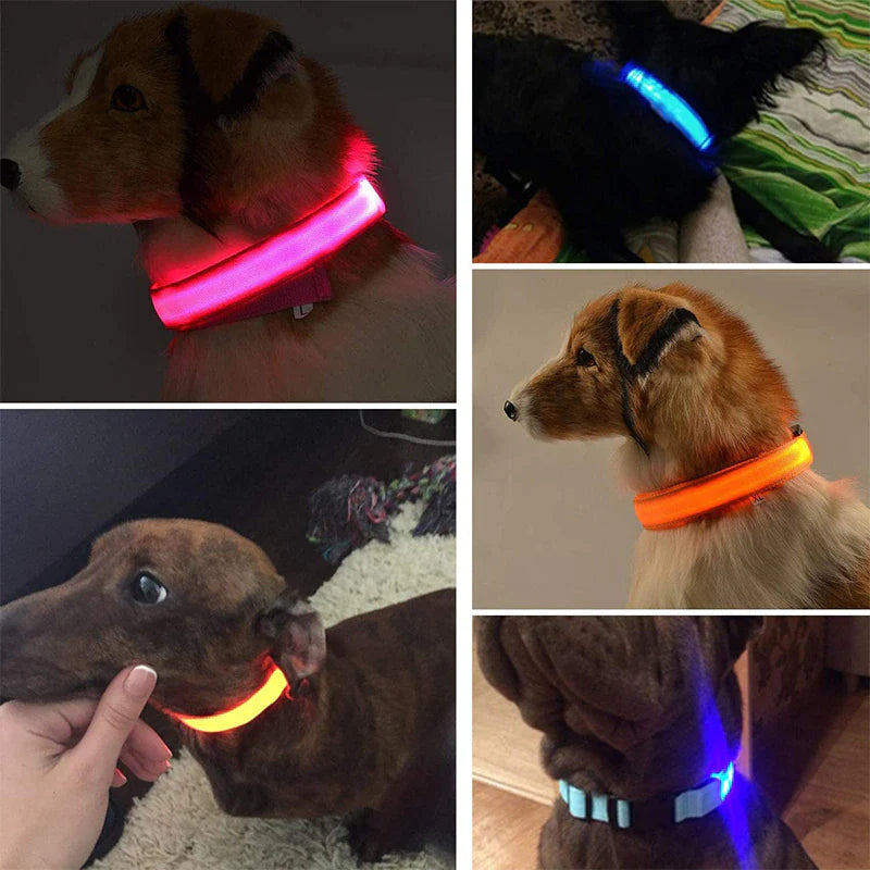 LED Adjustable Dog Collar Blinking Flashing Light up Glow Pets Safety Waterproof.