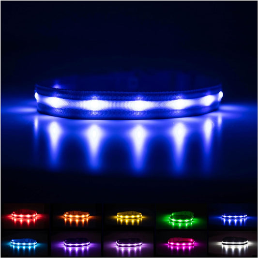 Brightest Light up Dog Collars - the Original LED Dog Collar with 1,000 Feet of Visibility - USB Rechargeable Waterproof Dog Collar Light - Dog Lights for Night Walking - USA Brand.